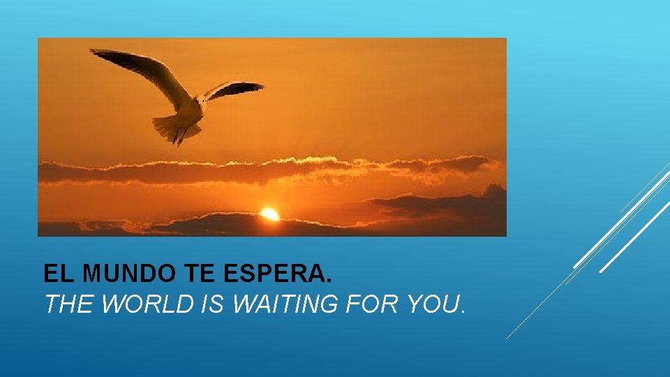 Bienvenidos EL MUNDO TE ESPERA. THE WORLD IS WAITING FOR YOU. 