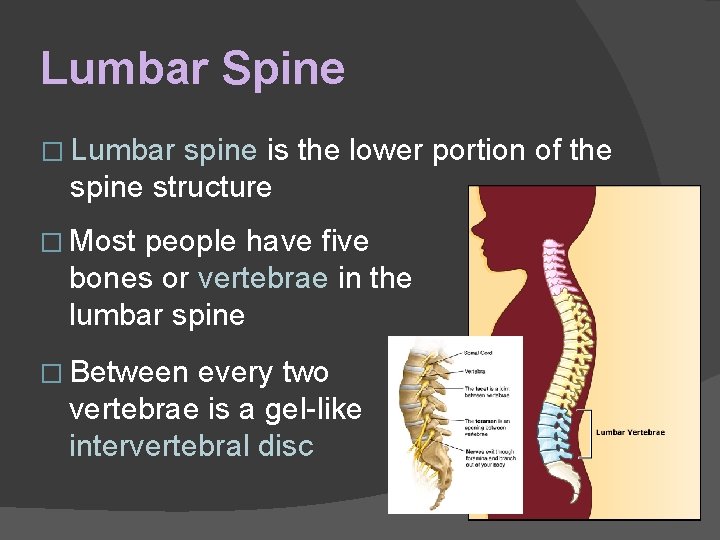 Lumbar Spine � Lumbar spine is the lower portion of the spine structure �