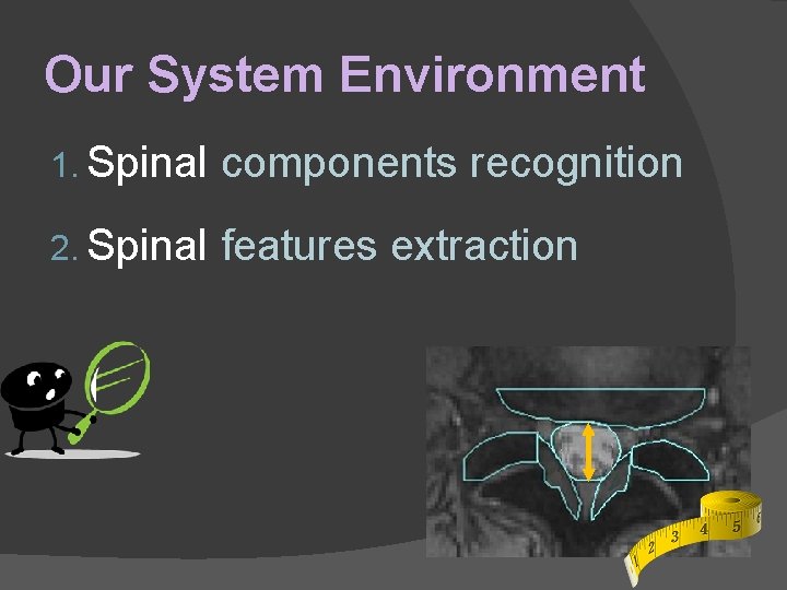 Our System Environment 1. Spinal components recognition 2. Spinal features extraction 