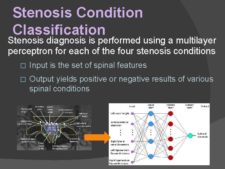 Stenosis Condition Classification Stenosis diagnosis is performed using a multilayer perceptron for each of