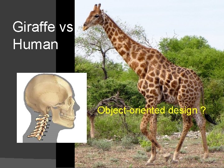 Giraffe vs Human Object-oriented design ? 