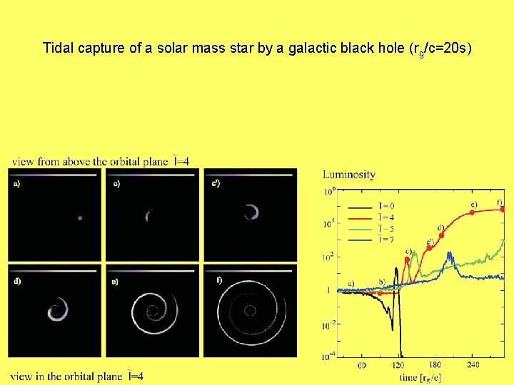 Tidal capture of a solar mass star by a galactic black hole (rg/c=20 s)