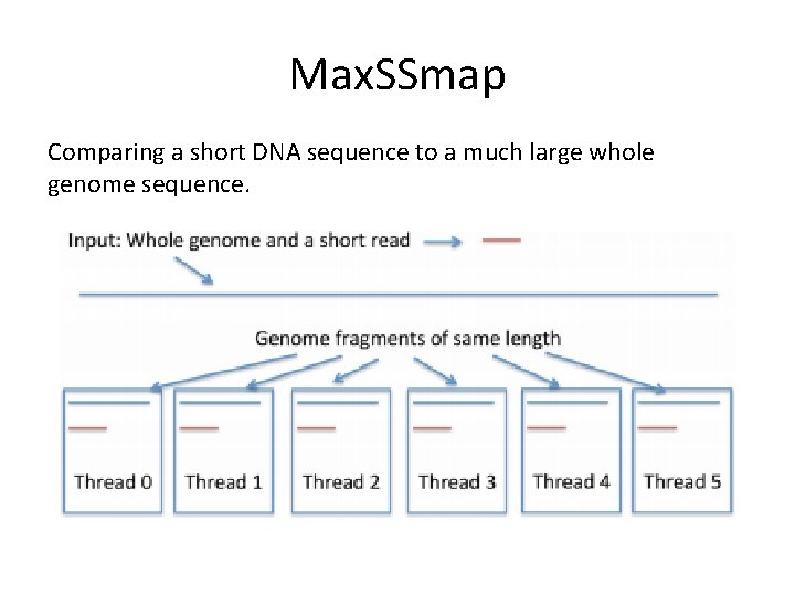 Max. SSmap Comparing a short DNA sequence to a much large whole genome sequence.