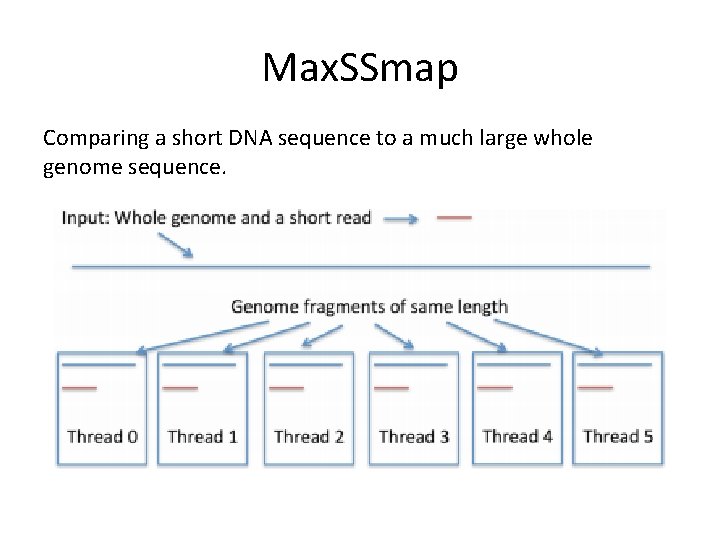 Max. SSmap Comparing a short DNA sequence to a much large whole genome sequence.