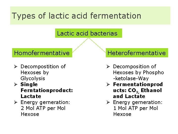 Types of lactic acid fermentation Lactic acid bacterias Homofermentative Heterofermentative Ø Decompostition of Hexoses