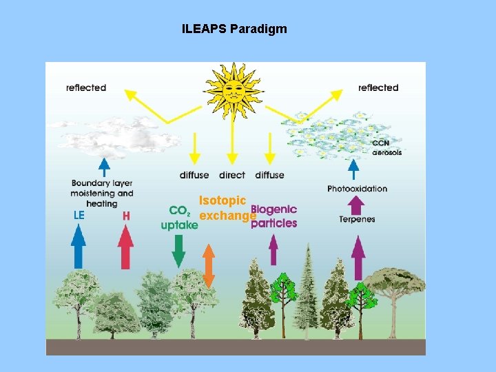 ILEAPS Paradigm Isotopic exchange 