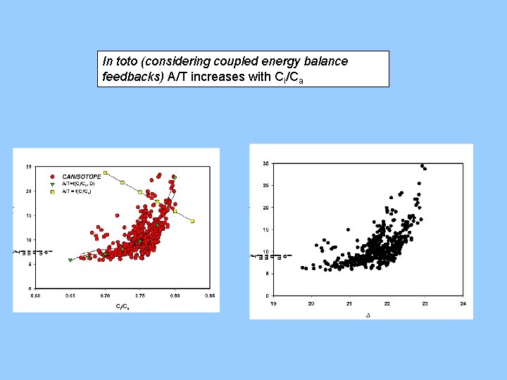 In toto (considering coupled energy balance feedbacks) A/T increases with Ci/Ca 