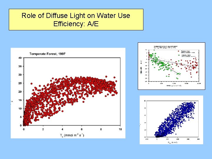 Role of Diffuse Light on Water Use Efficiency: A/E 