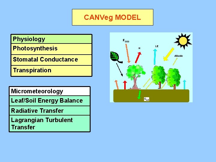 CANVeg MODEL Physiology Photosynthesis Stomatal Conductance Transpiration Micrometeorology Leaf/Soil Energy Balance Radiative Transfer Lagrangian