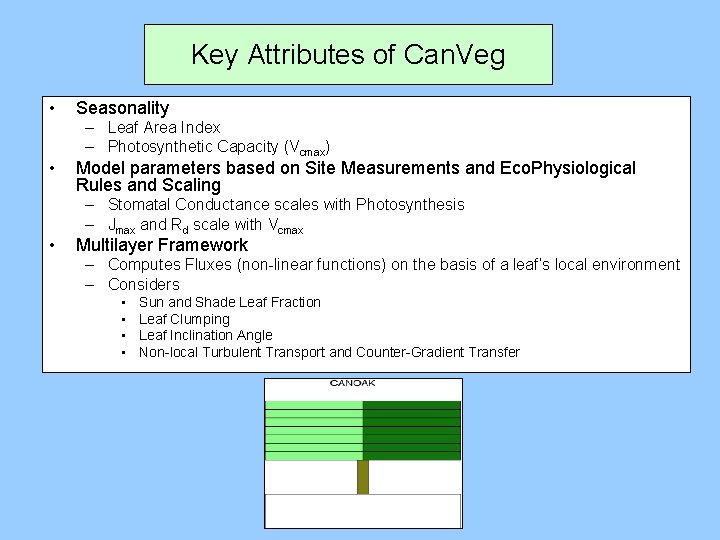 Key Attributes of Can. Veg • • • Seasonality – Leaf Area Index –