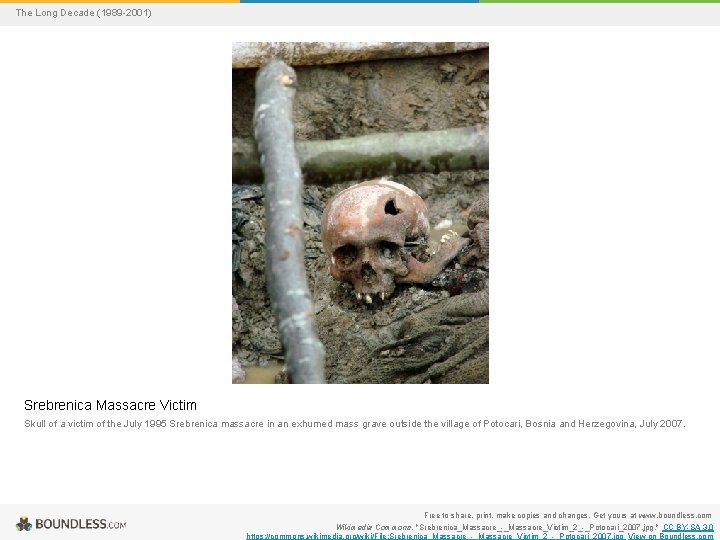 The Long Decade (1989 -2001) Srebrenica Massacre Victim Skull of a victim of the