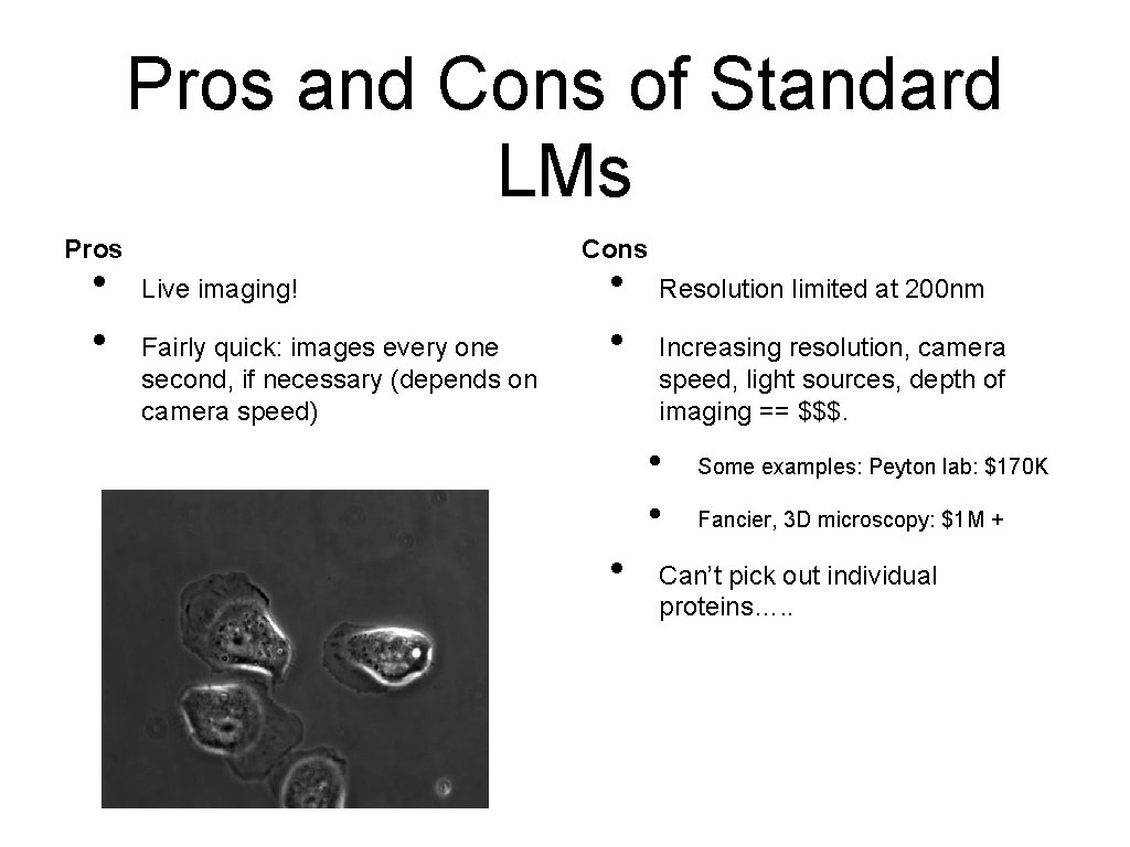 Pros and Cons of Standard LMs Pros • • Cons Live imaging! Fairly quick: