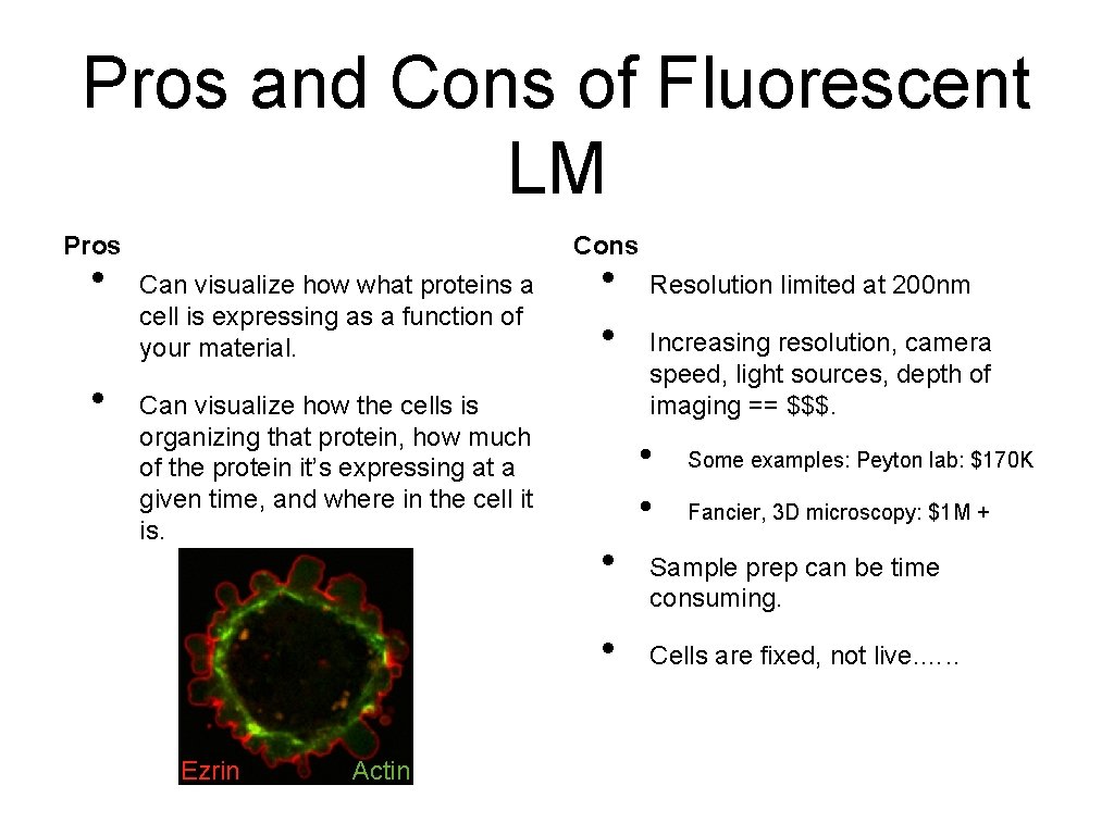 Pros and Cons of Fluorescent LM Pros • • Cons Can visualize how what