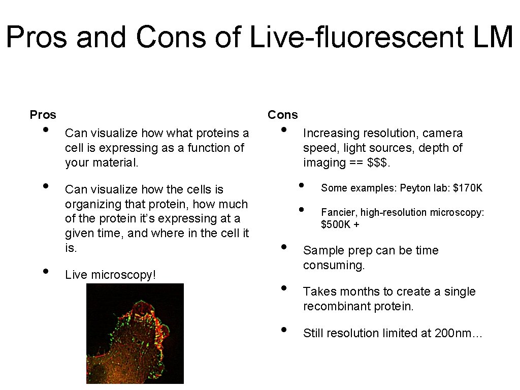 Pros and Cons of Live-fluorescent LM Pros • • • Cons Can visualize how