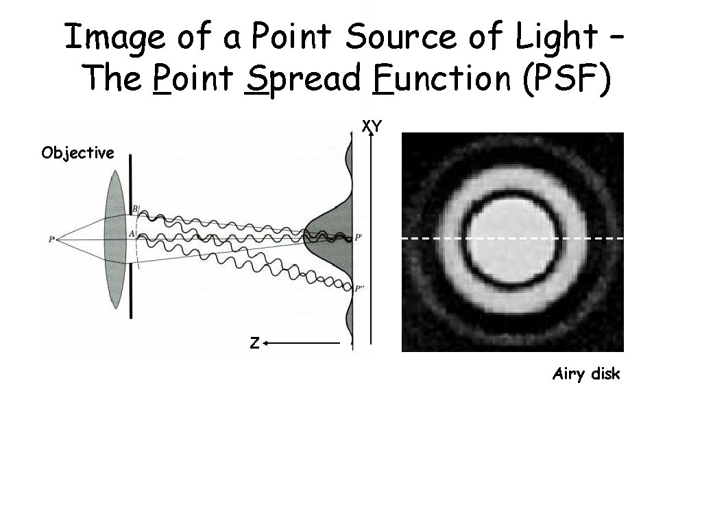 Image of a Point Source of Light – The Point Spread Function (PSF) XY