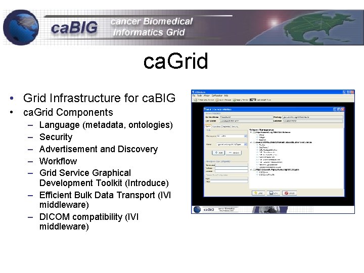 ca. Grid • Grid Infrastructure for ca. BIG • ca. Grid Components – –