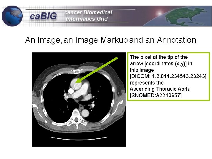 An Image, an Image Markup and an Annotation The pixel at the tip of