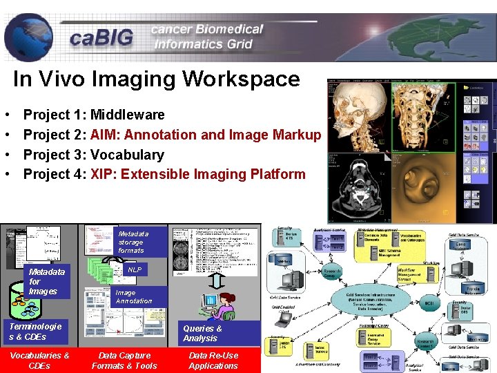 In Vivo Imaging Workspace • • Project 1: Middleware Project 2: AIM: Annotation and