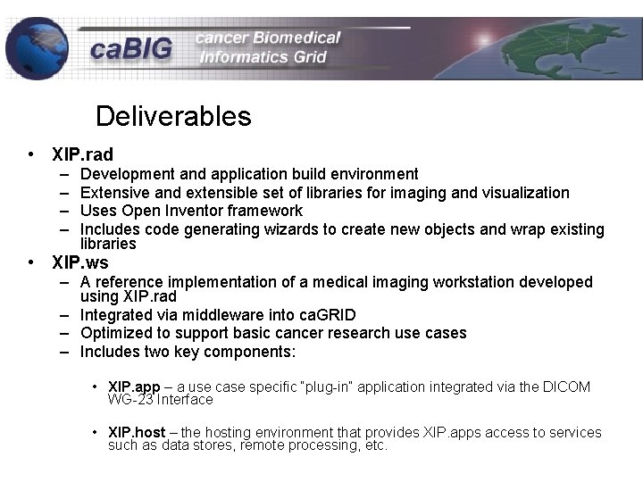 Deliverables • XIP. rad – – Development and application build environment Extensive and extensible
