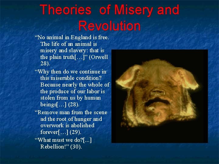 Theories of Misery and Revolution “No animal in England is free. The life of