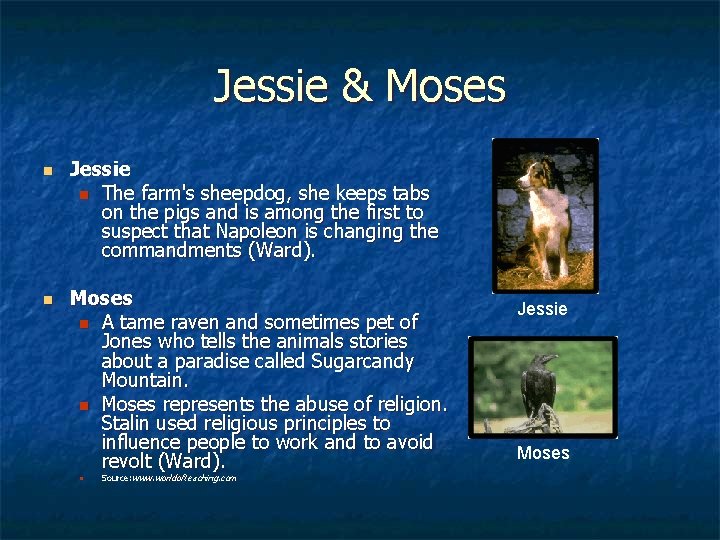 Jessie & Moses n n Jessie n The farm's sheepdog, she keeps tabs on