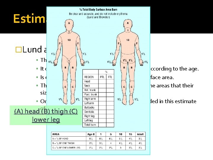 Estimation of burn size �Lund an Browder Chart The best and most accurate method.