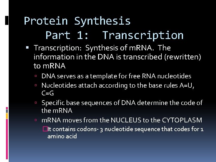 Protein Synthesis Part 1: Transcription: Synthesis of m. RNA. The information in the DNA