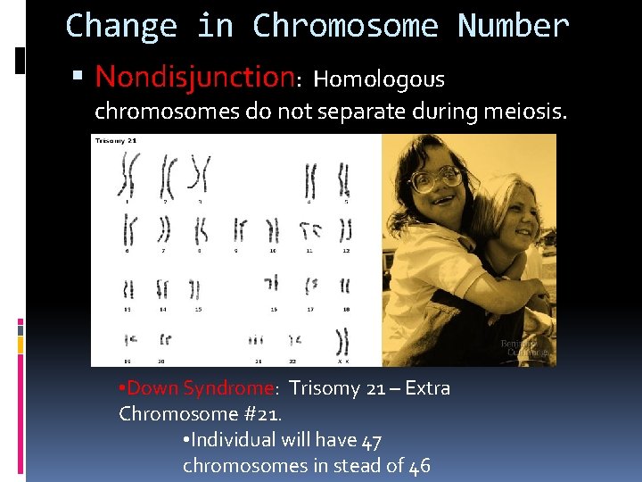 Change in Chromosome Number Nondisjunction: Homologous chromosomes do not separate during meiosis. • Down