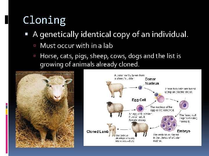 Cloning A genetically identical copy of an individual. Must occur with in a lab