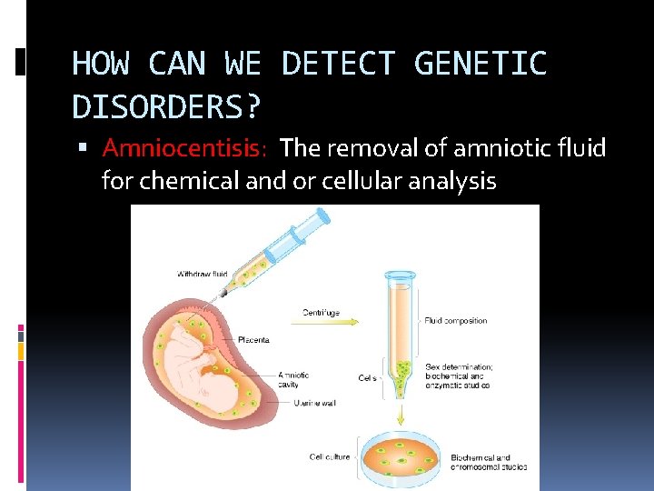 HOW CAN WE DETECT GENETIC DISORDERS? Amniocentisis: The removal of amniotic fluid for chemical