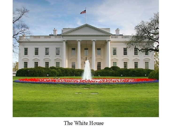 The White House 