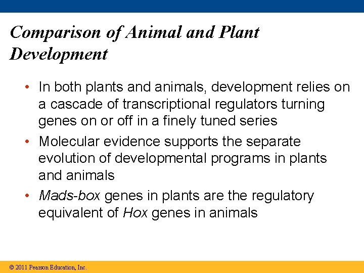 Comparison of Animal and Plant Development • In both plants and animals, development relies
