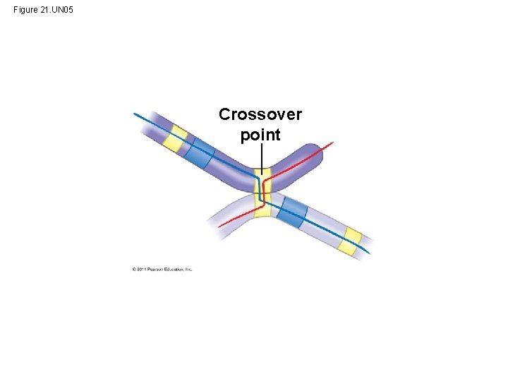 Figure 21. UN 05 Crossover point 