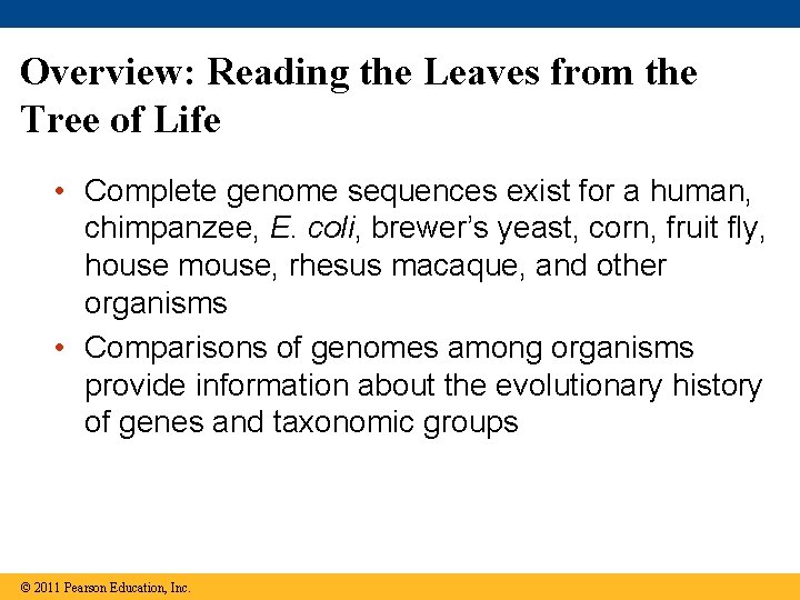 Overview: Reading the Leaves from the Tree of Life • Complete genome sequences exist