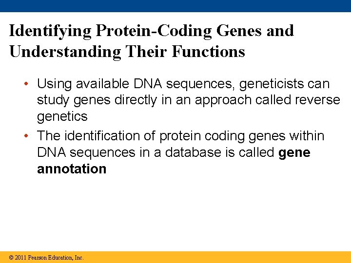 Identifying Protein-Coding Genes and Understanding Their Functions • Using available DNA sequences, geneticists can