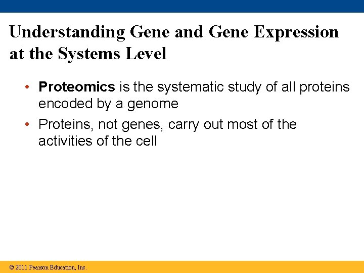 Understanding Gene and Gene Expression at the Systems Level • Proteomics is the systematic