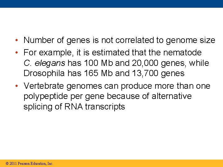  • Number of genes is not correlated to genome size • For example,