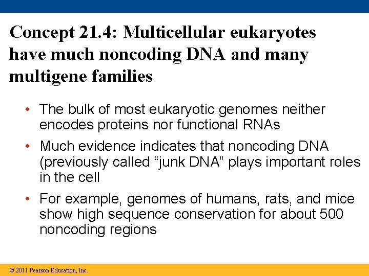 Concept 21. 4: Multicellular eukaryotes have much noncoding DNA and many multigene families •