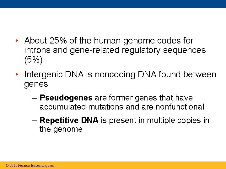  • About 25% of the human genome codes for introns and gene-related regulatory