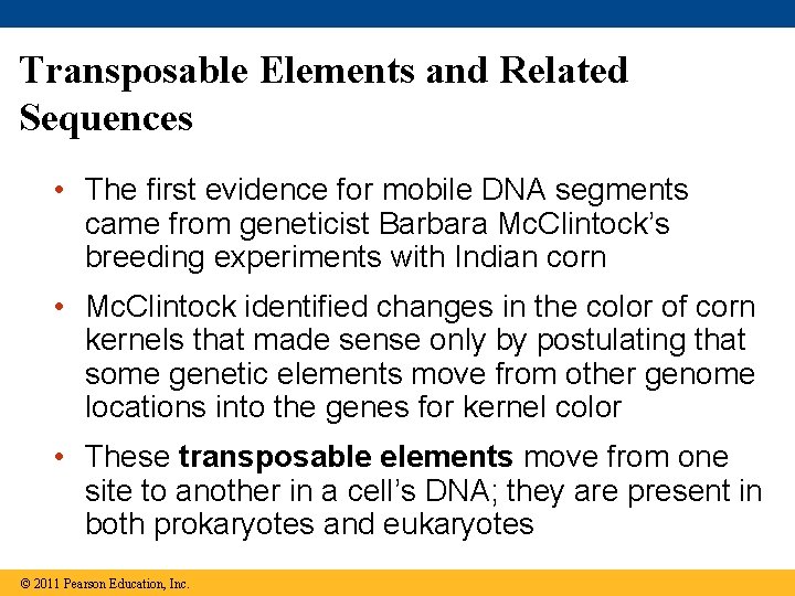 Transposable Elements and Related Sequences • The first evidence for mobile DNA segments came