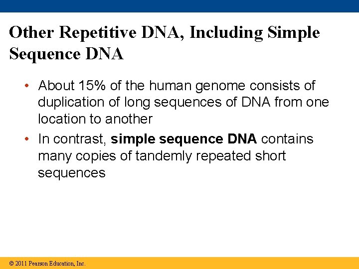 Other Repetitive DNA, Including Simple Sequence DNA • About 15% of the human genome