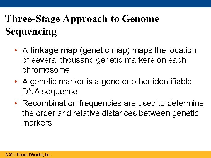 Three-Stage Approach to Genome Sequencing • A linkage map (genetic map) maps the location