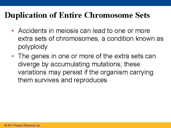 Duplication of Entire Chromosome Sets • Accidents in meiosis can lead to one or