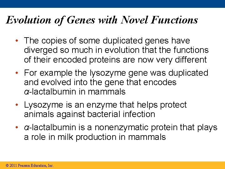 Evolution of Genes with Novel Functions • The copies of some duplicated genes have