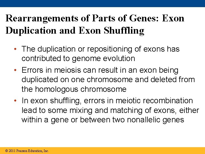 Rearrangements of Parts of Genes: Exon Duplication and Exon Shuffling • The duplication or