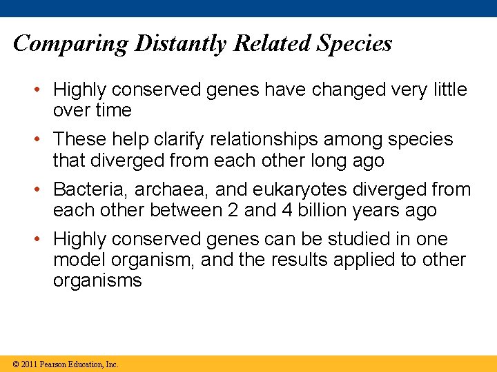 Comparing Distantly Related Species • Highly conserved genes have changed very little over time