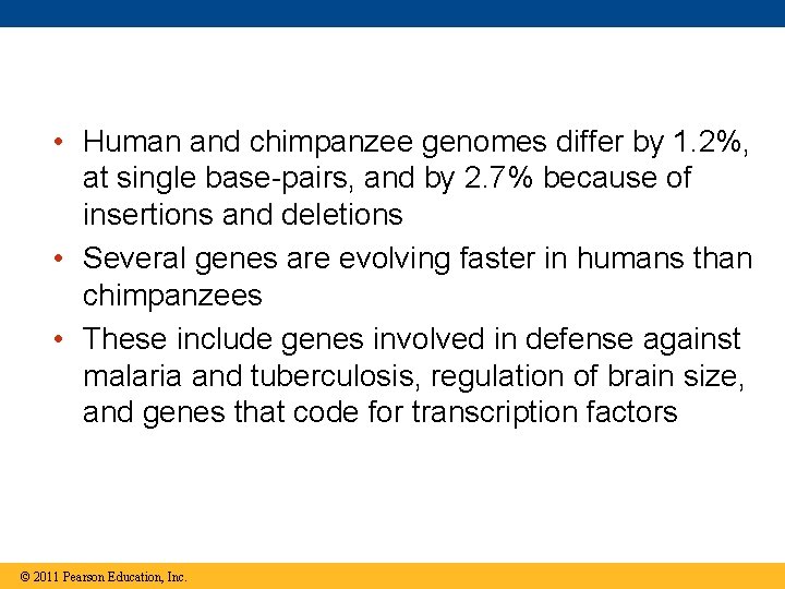  • Human and chimpanzee genomes differ by 1. 2%, at single base-pairs, and