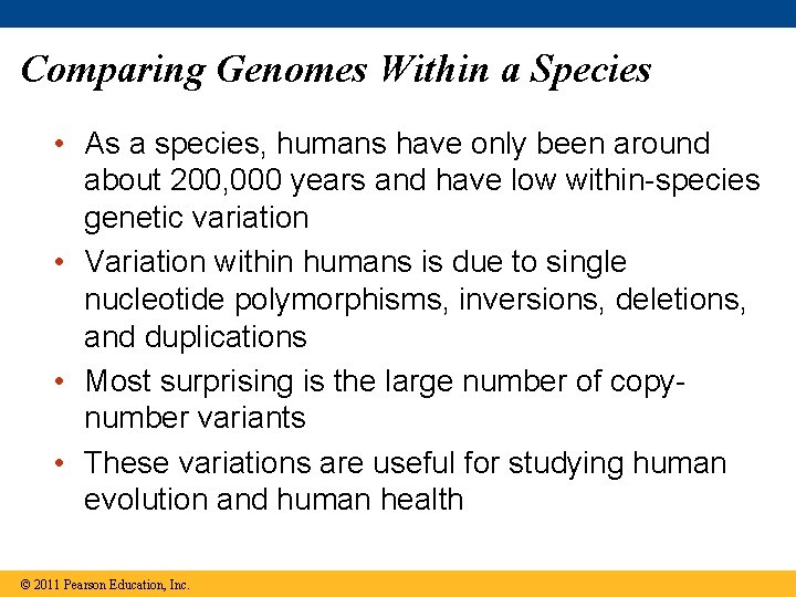 Comparing Genomes Within a Species • As a species, humans have only been around