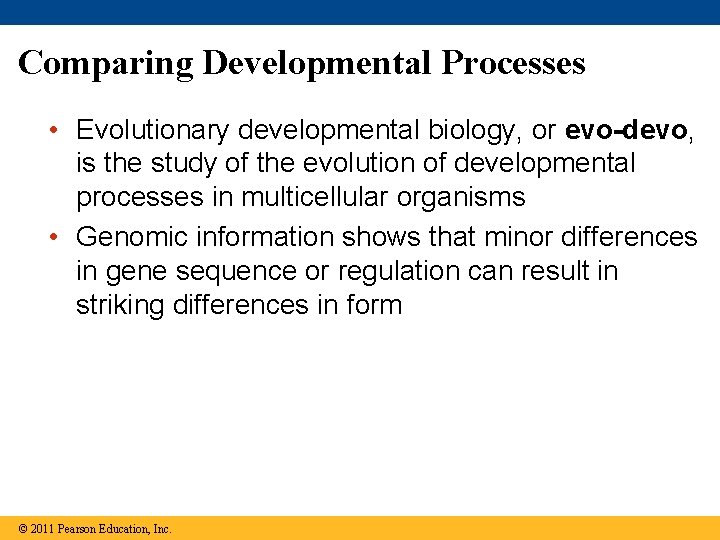 Comparing Developmental Processes • Evolutionary developmental biology, or evo-devo, is the study of the