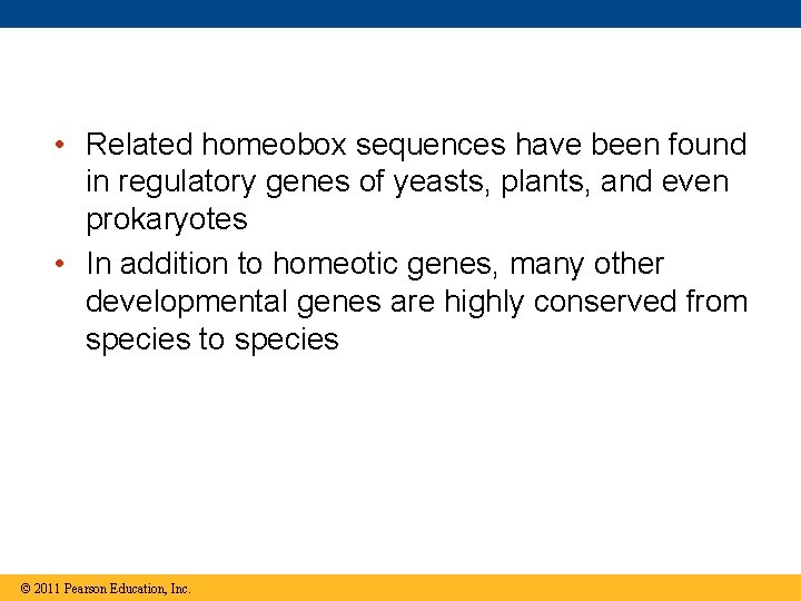  • Related homeobox sequences have been found in regulatory genes of yeasts, plants,